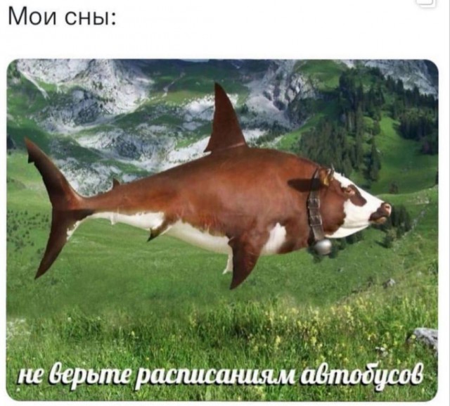 Картинки всякие, развесёлые и не очень.
