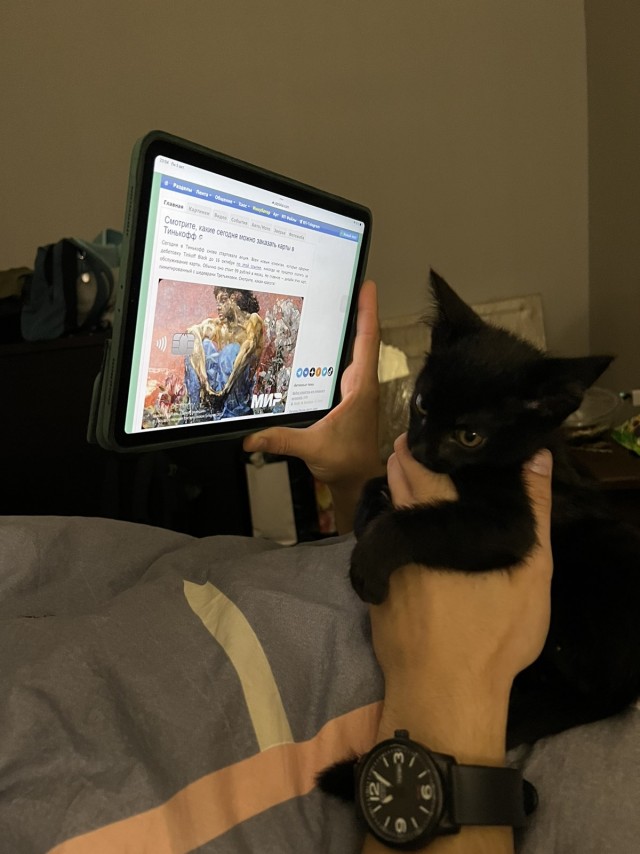 С Котовторником вас! Зовут Чеса!