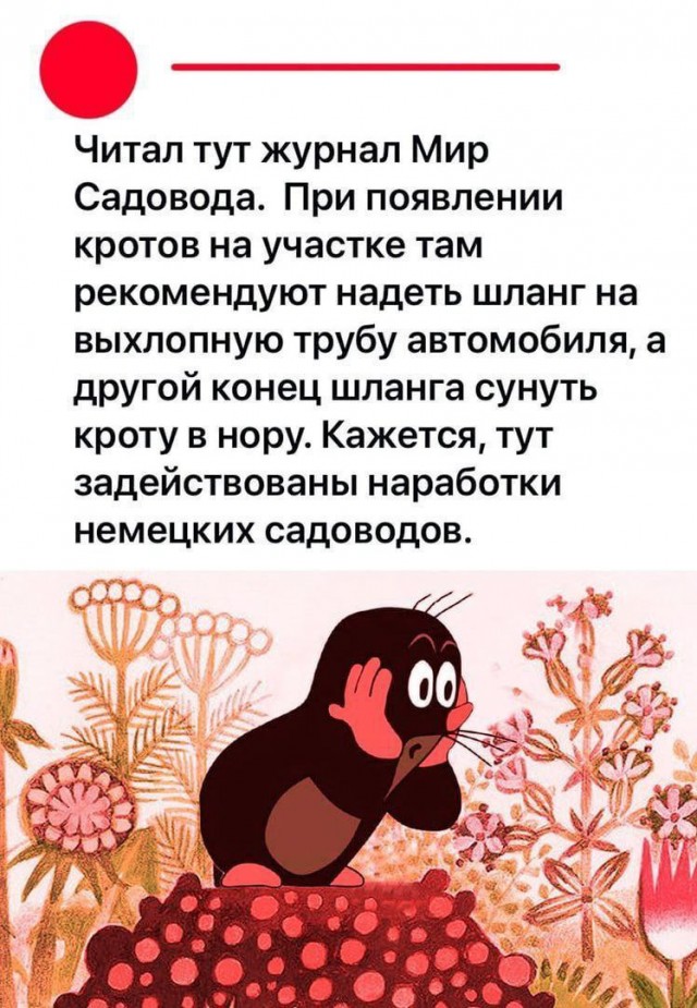 Народная меДИЧина 11.08