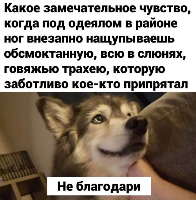 Народная меДИЧина 5023
