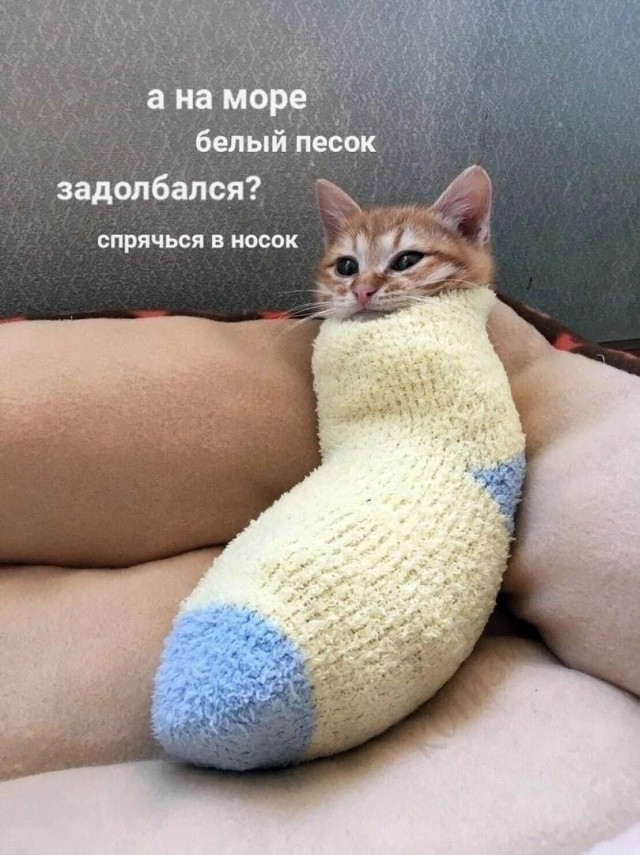 Так себе картинки 24.12.22