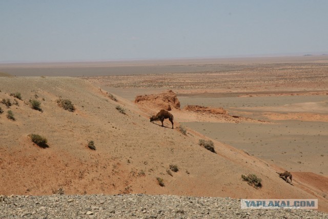 В Монголию на мотоциклах 2006