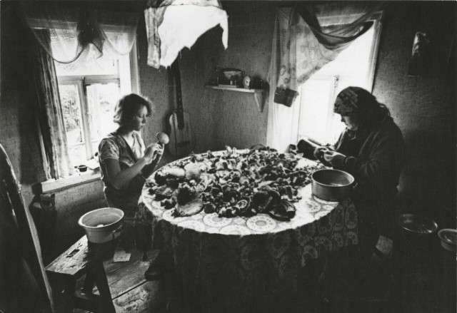 Фотограф Борис Михалевкин: тихая жизнь