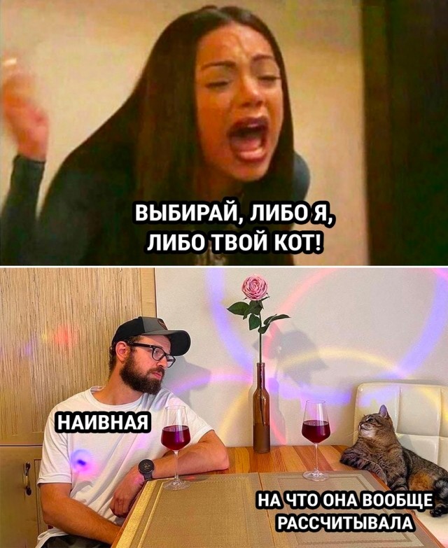 Так себе картинки 05.08.23