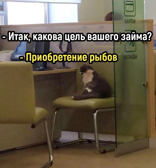 Весёлый полтишок 20.09.23