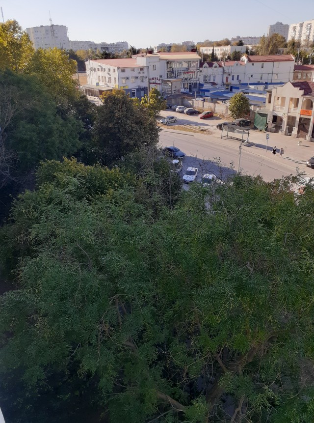 Осень золотая