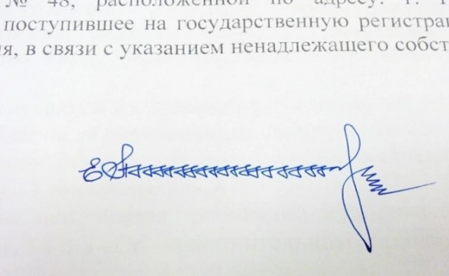 ЦИК посчитал странной подпись котиком участника инициативной группы Екатерины Дунцовой