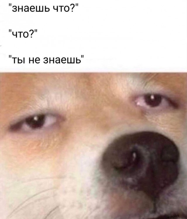 Всего понемногу. От 23.02.24