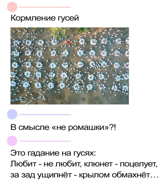 Завалялось тут случайно немного забавных картинок