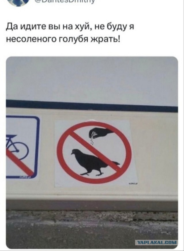 Немного забавных картинок