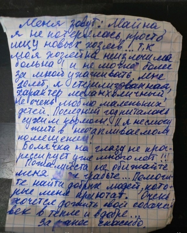 «Хочется дожить собачий век в тепле»: пермяки нашли собаку с запиской — ее написала неизлечимо больная хозяйка