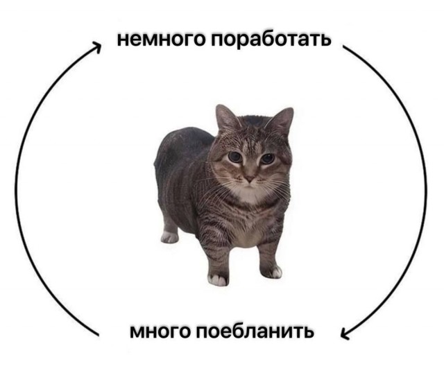Всего понемногу. От 07.08
