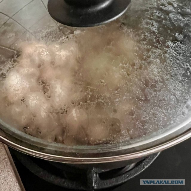 Картофель, тушеный с грибами