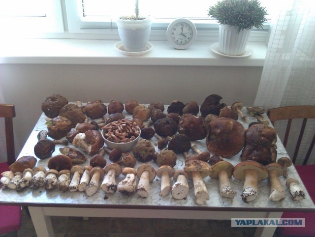 Рыбалка в ближайшем подмосковье