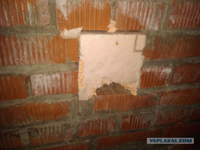 Последний котовторник в этом году