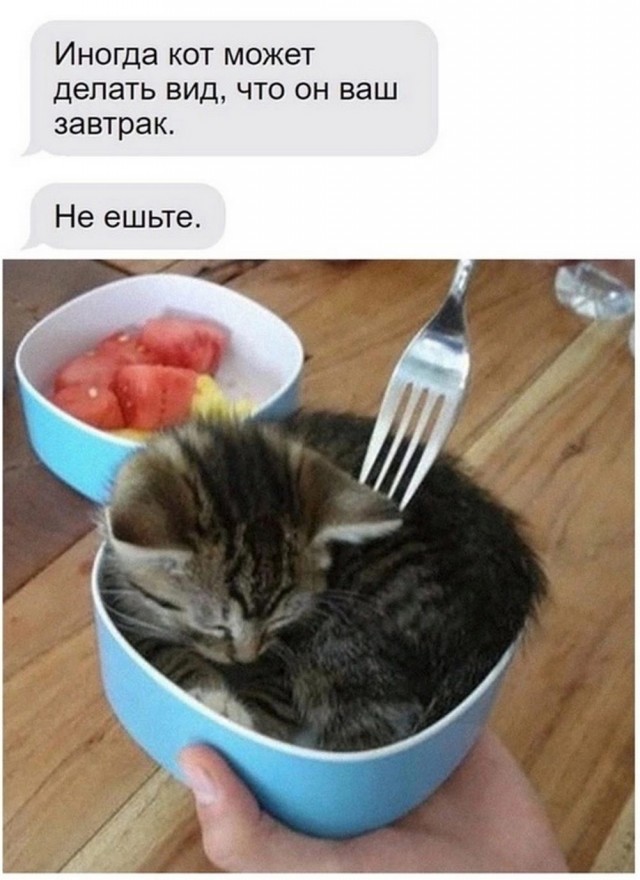ТРРРидцать тРРРи от 26 мая