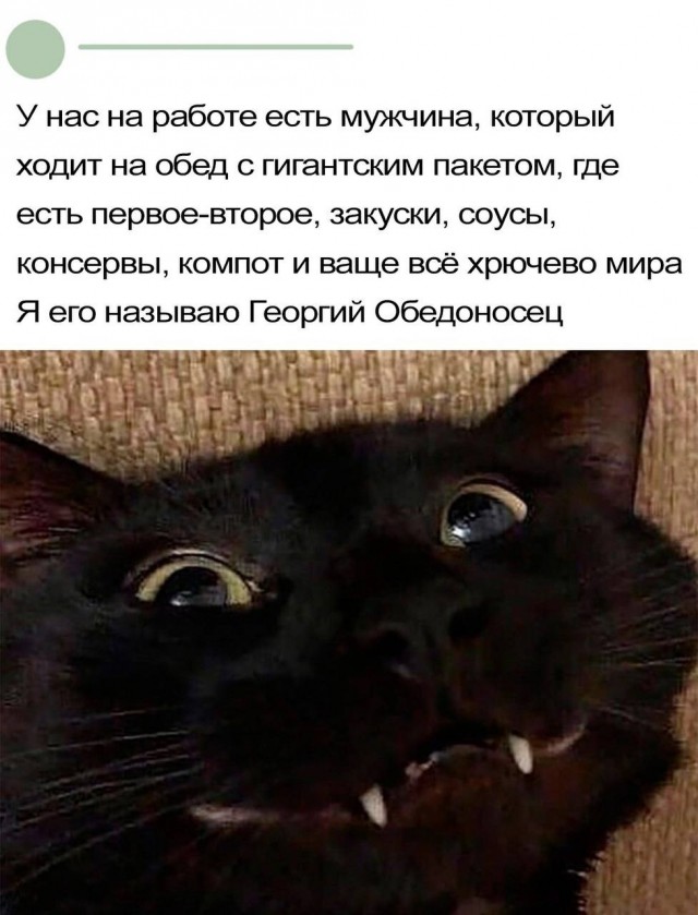 Так себе картинки 14.11.25