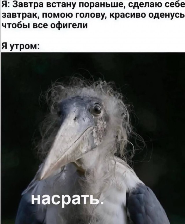 Картинки для деградации 128 (разной степени свежести)