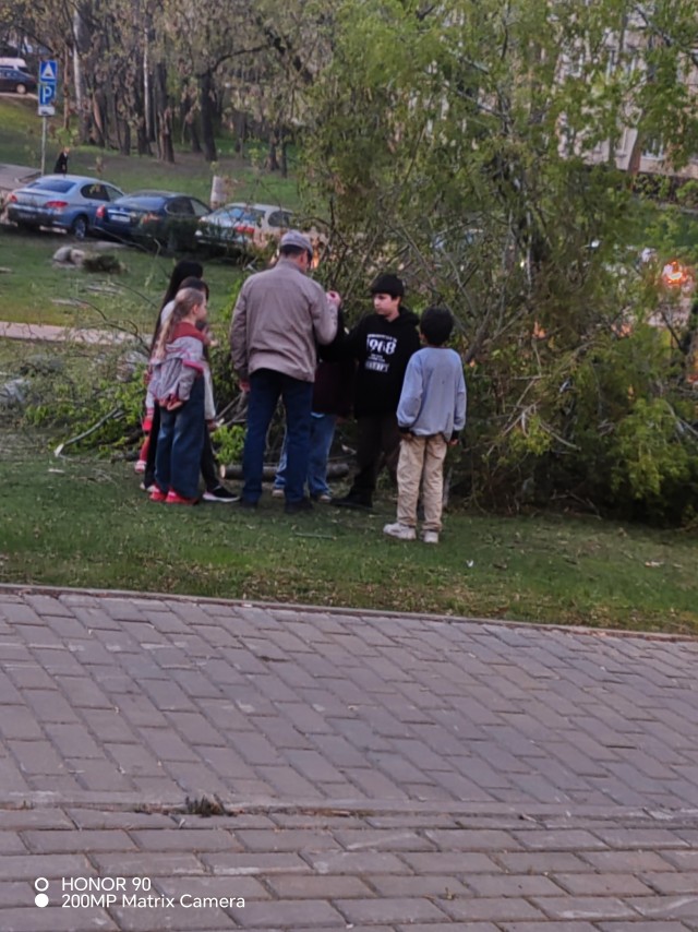 Назад в прошлое