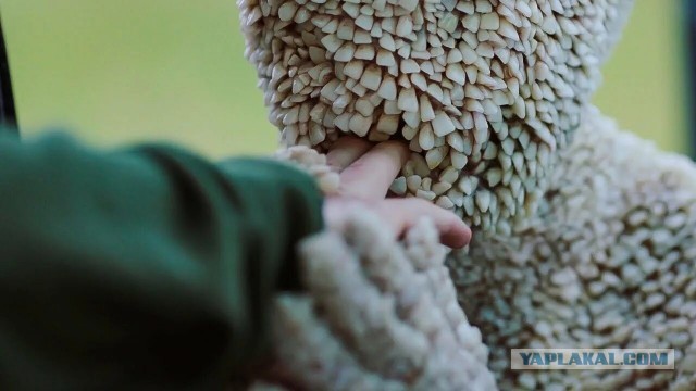 Конец эры имплантатов: В Японии перешли к испытаниям на людях первого препарата для выращивания зубов
