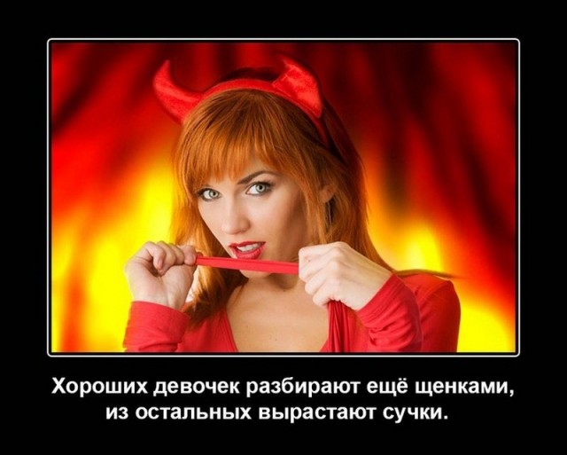 Картиночки, баянчики 19 июля