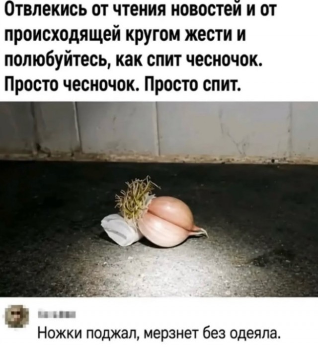 Веселое настроение в картинках 18.08.26