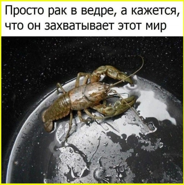 Понедельниковые тРРРидцать тРРРи