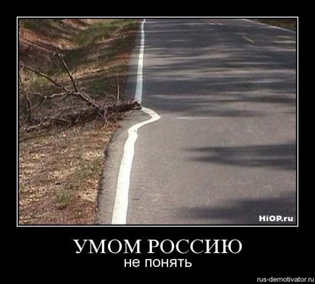 Подборка смешных картинок :)