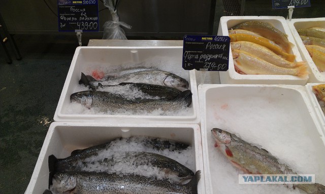 Ускоренный рост цен на запрещенные продукты