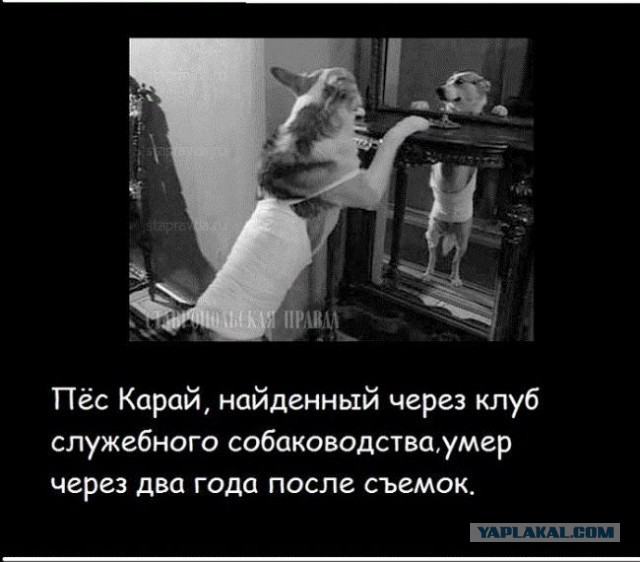 20 фактов обо всем
