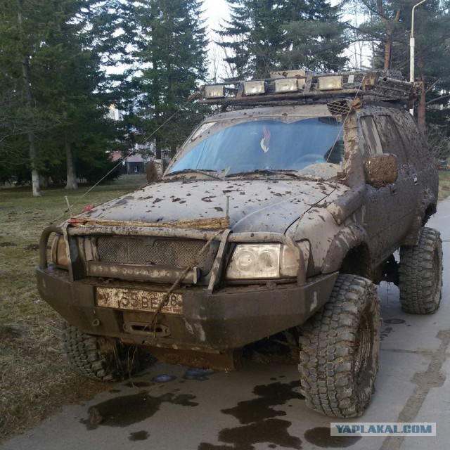Поганые болота