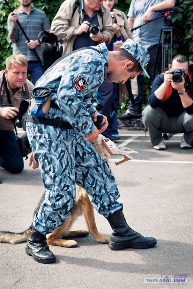 Центр кинологической службы Упр-ния на транспорте