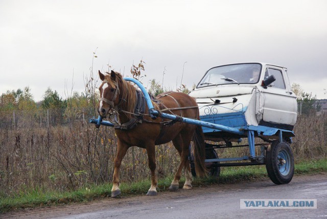 Наглость-второе счастье.