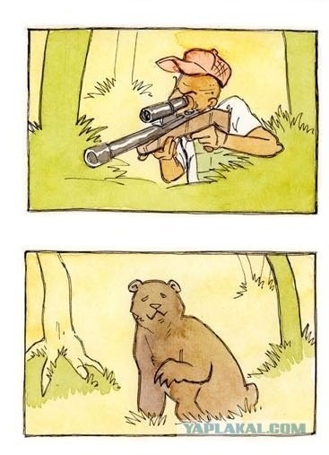 Oх уж эти медведи