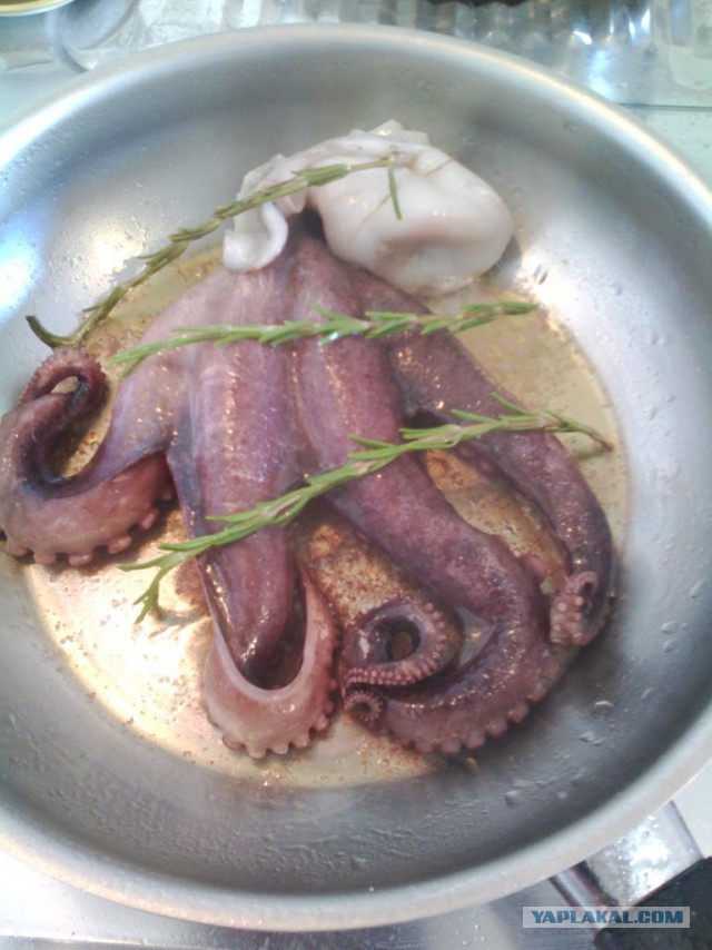 Кухня (кулинарное и околокулинарное общение)