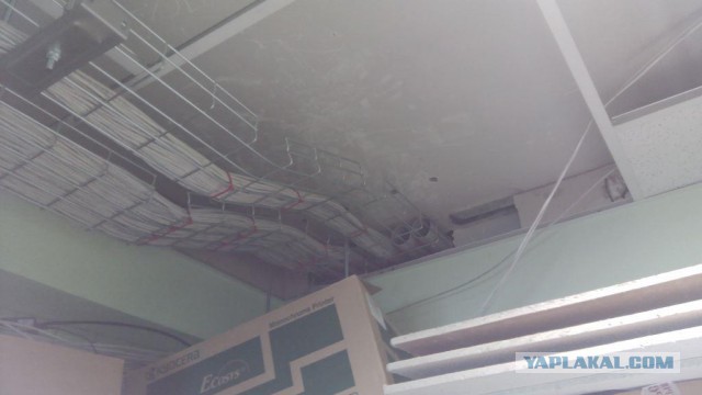 Системные администраторы познавшие дзен