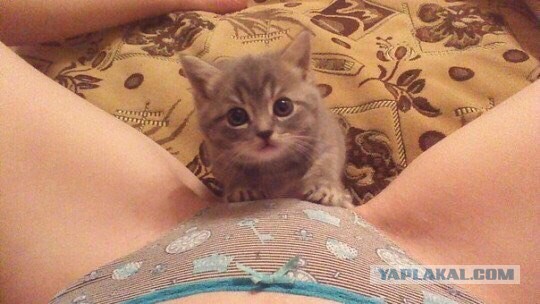 А где рыбка...?