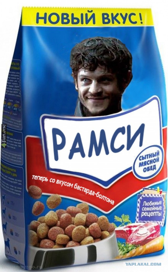 Питбули. Вот так..