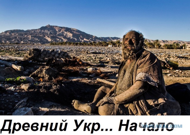 Братья и сестры, познакомьтесь с эволюцией человека