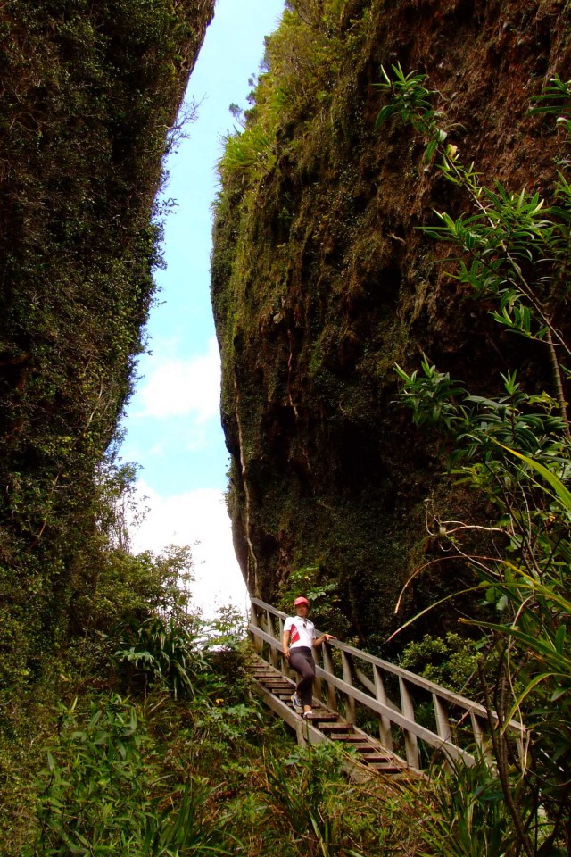 Great Barrier Island. Новая Зеландия.