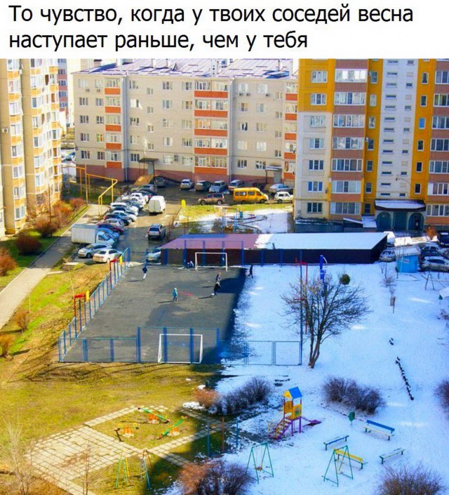 Подборка безудержного веселья