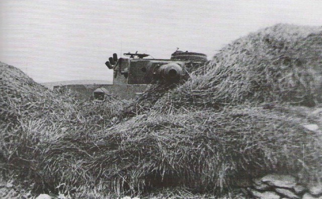 «Тигр» изнутри, достоинства и недостатки глазами его командира на фоне Pz.IV
