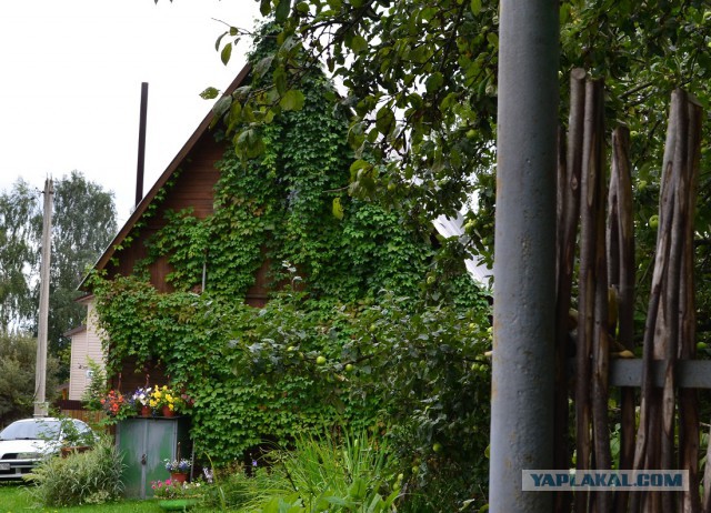 Как могла бы выглядеть русская деревня под грузом европейских ценностей