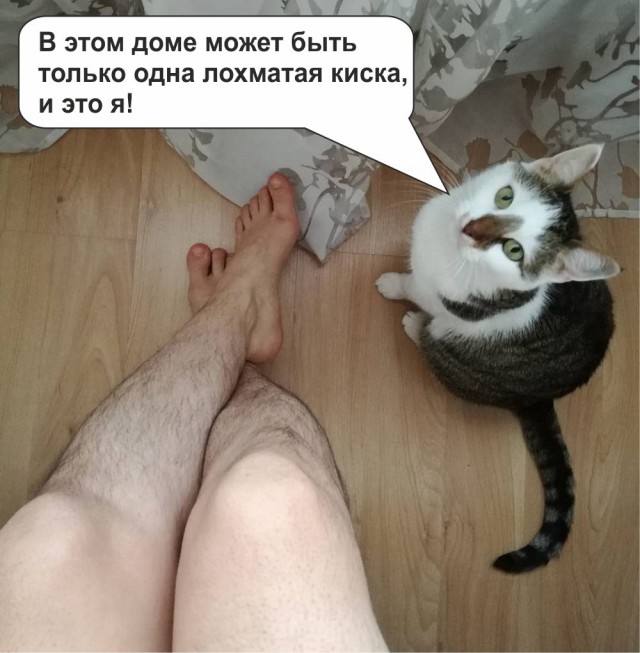 Секретарша перестала брить волосы на теле и призывает поступать также - 45+