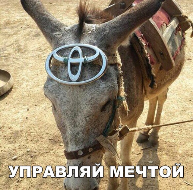 Ну что, работу работаем? А кто картинки кто смотреть будет!?