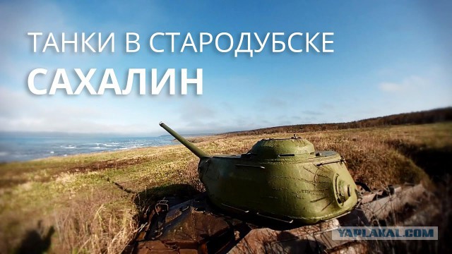 "Рву когти" из Москвы во Владивосток с двумя котами