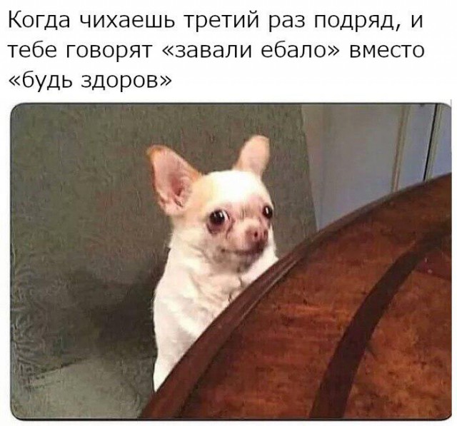 Немного картинок на выходные