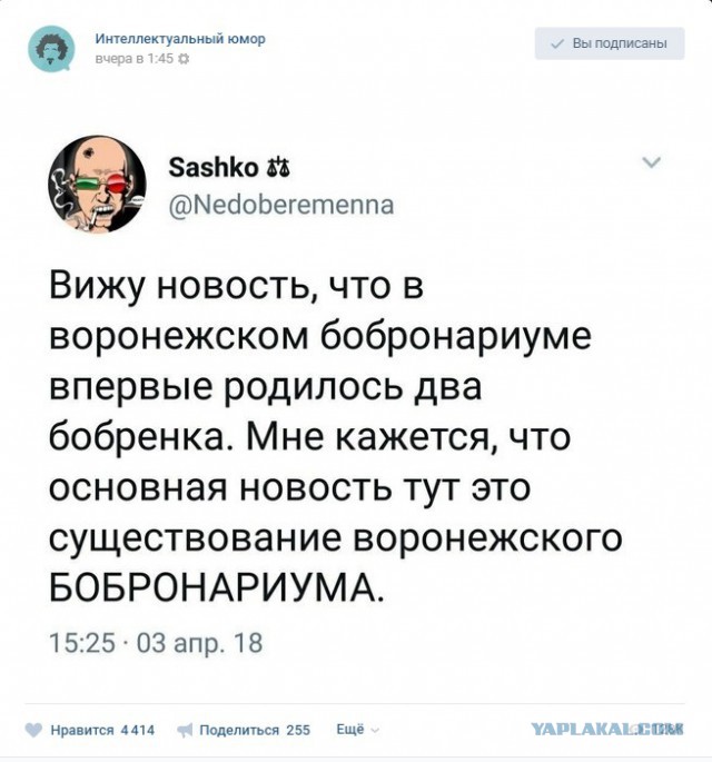 Вся правда о бобрах