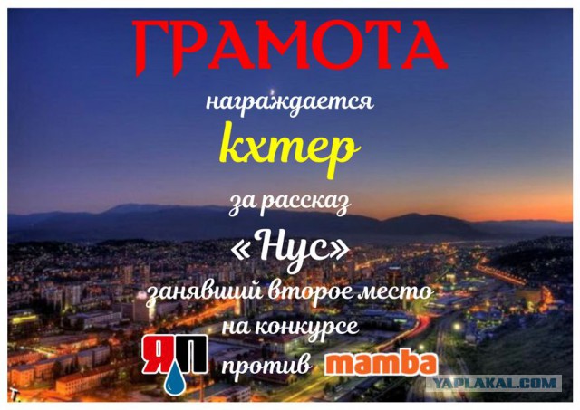 ЯП против Мамбы. Подведение итогов.