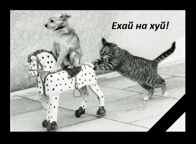 Что хорошего и плохого вспоминают люди о СССР